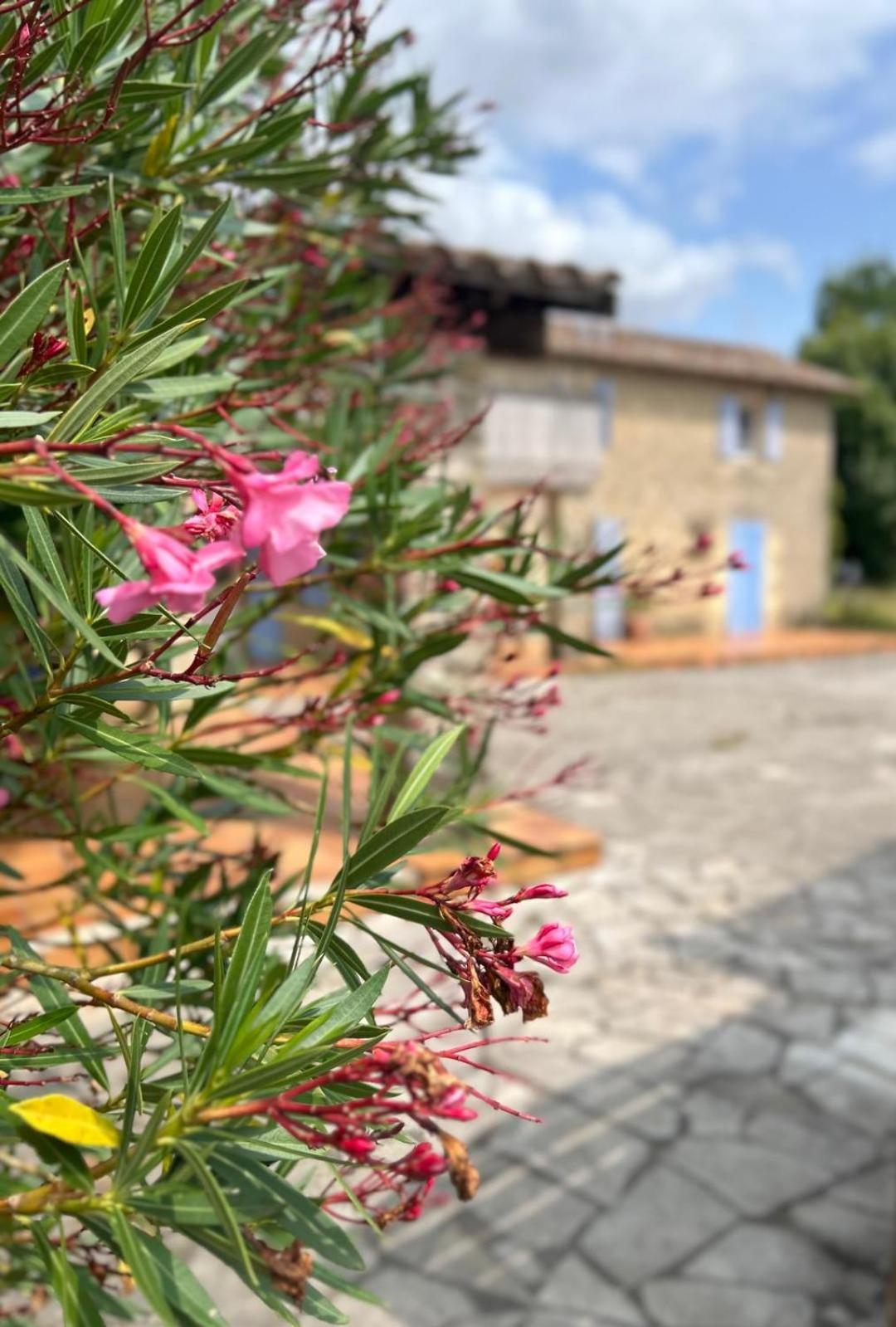 Domaine De Fontsauzine - Gites Et Chambre D'Hotes Genouille  Luaran gambar