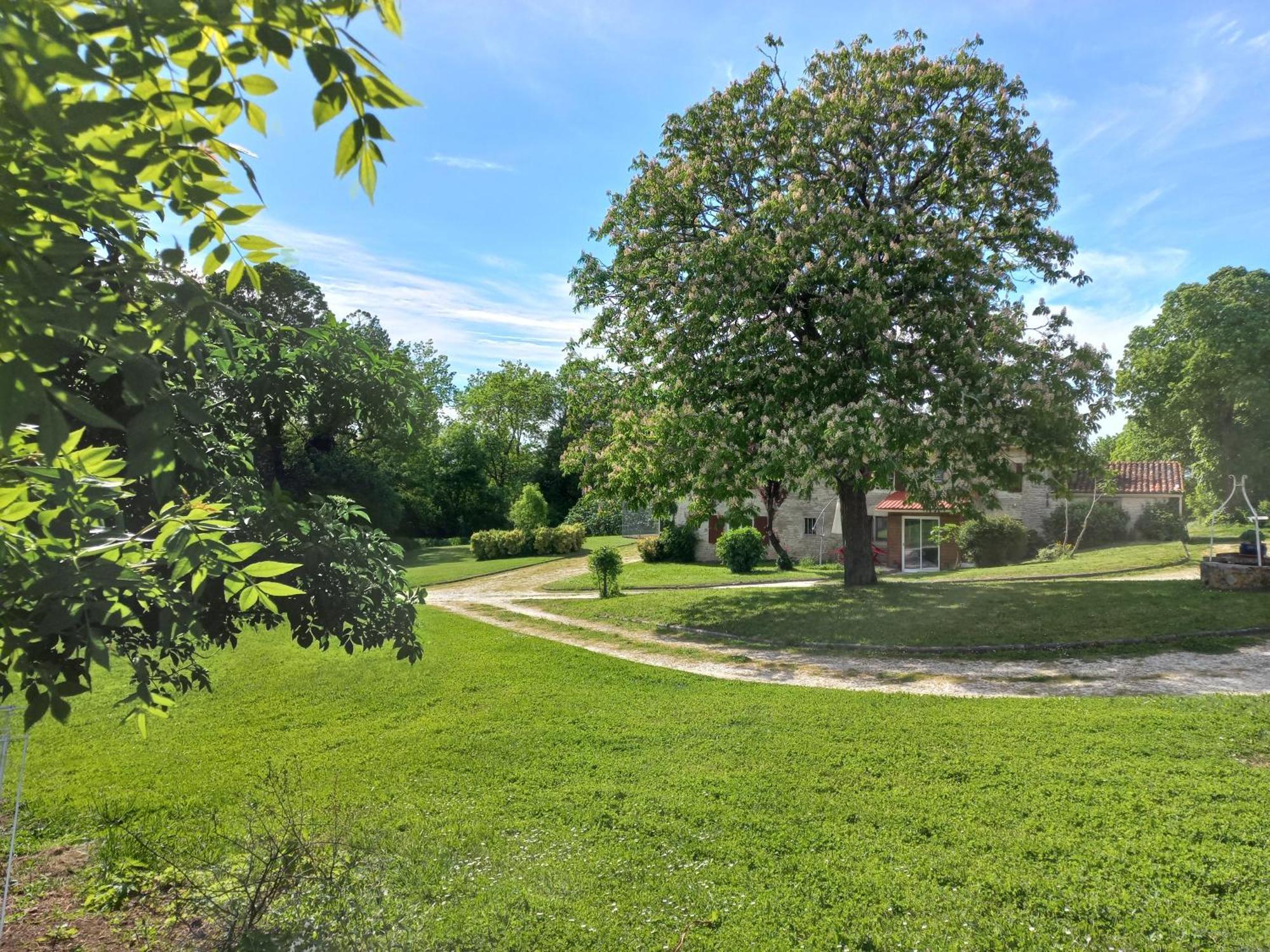 Domaine De Fontsauzine - Gites Et Chambre D'Hotes Genouille  Luaran gambar