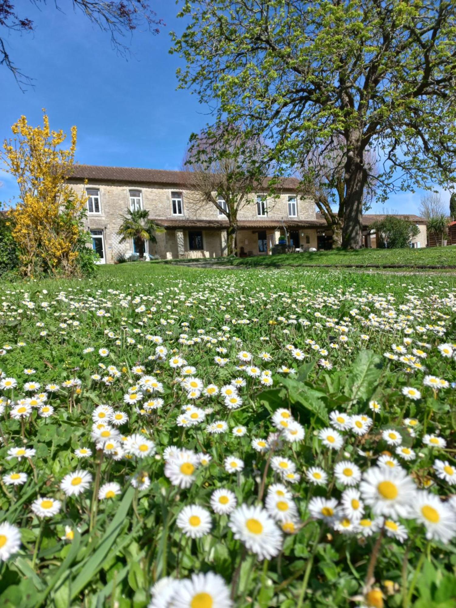 Domaine De Fontsauzine - Gites Et Chambre D'Hotes Genouille  Luaran gambar